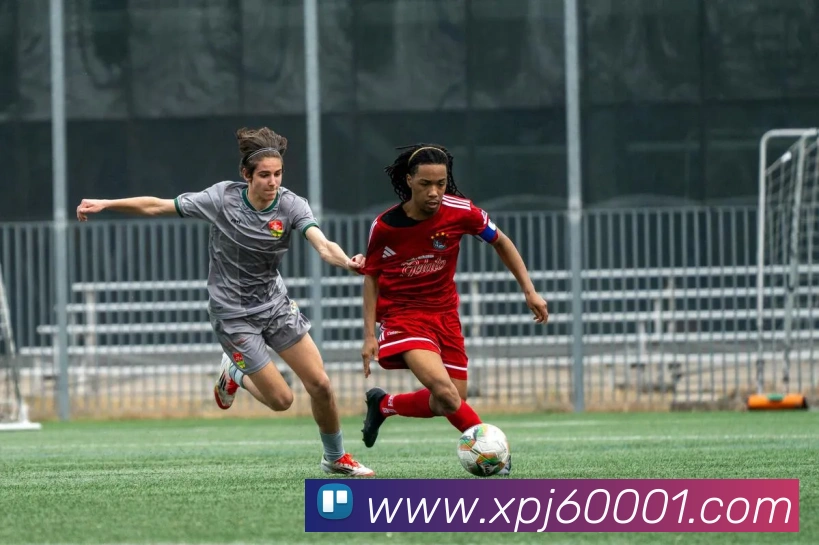 澳门新葡京官网平台生态图