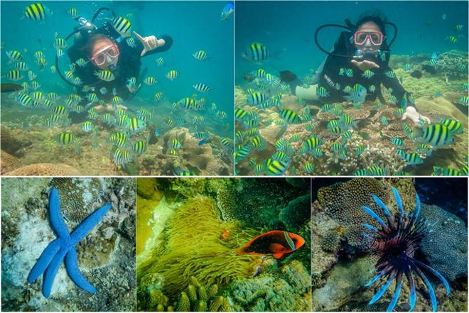 少钱潮汕5天游玩花费大概多少省钱攻略PG电子麻将胡了去潮汕旅游五日游花多(图3)